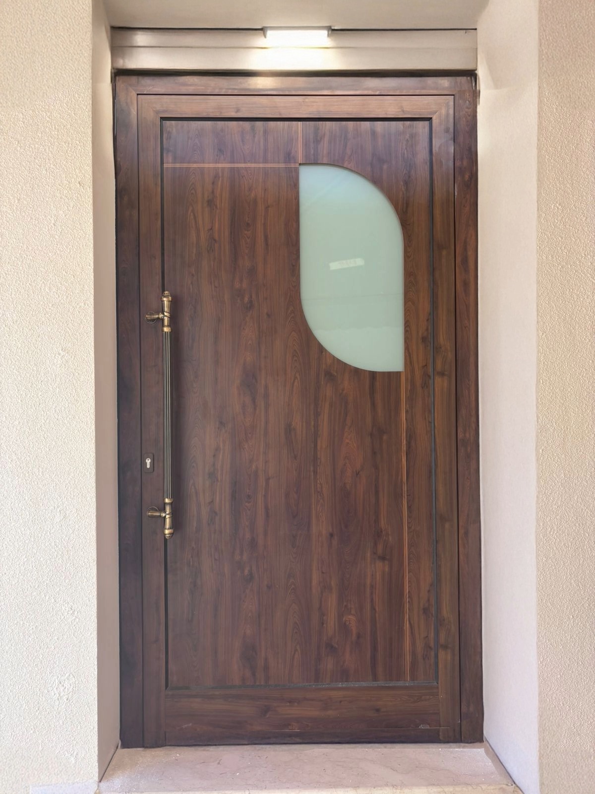  Cast Aluminum Doors (Art Design)